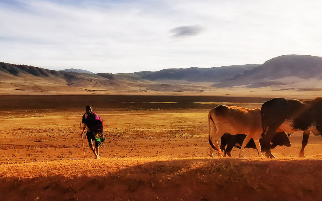 The Maasai Steps